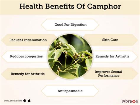 camphor spray kruidvat|Camphor: Benefits, Uses, & Side Effects .